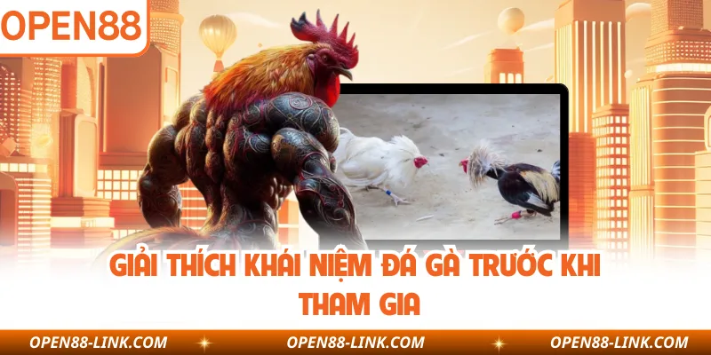 Giải thích khái niệm đá gà trước khi tham gia