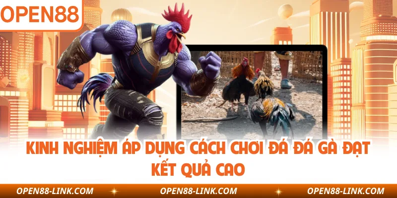 Kinh nghiệm áp dụng cách chơi đá đá gà đạt kết quả cao